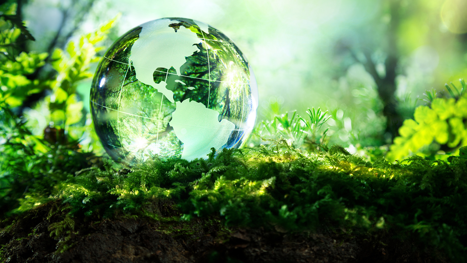 サステナビリティ