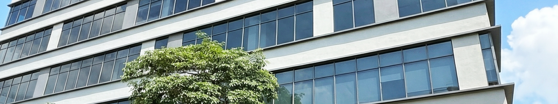 SANYO DENKI CO.,LTD. Singapore Branch