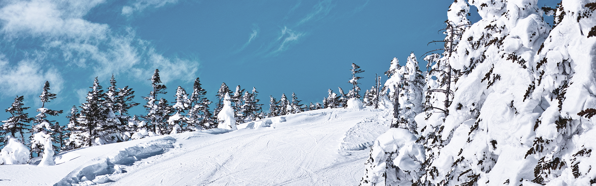 実際に上田でどんな暮らしを？